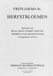 Herbstblumen 