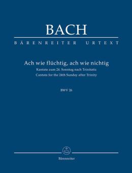 Ach wie flüchtig, ach wie nichtig 