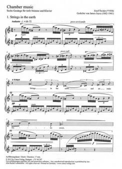 Chamber Music 