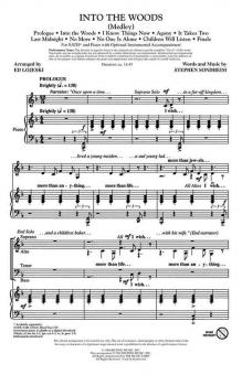 Into The Woods (Medley) 