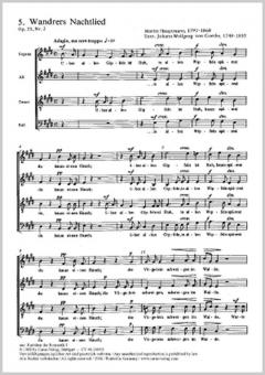 Wandrers Nachtlied 