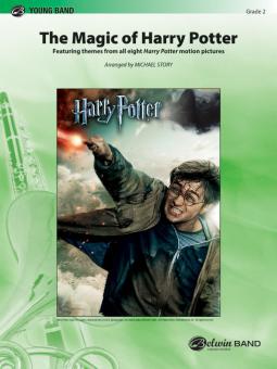 The Magic Of Harry Potter Standard