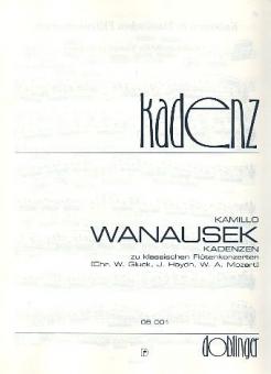 Kadenzen zu klassischen Flötenkonzerten (Gluck, Haydn, Mozart) 