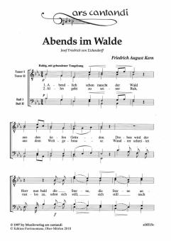 Abends im Walde 