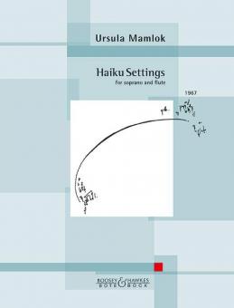 Haiku Settings 