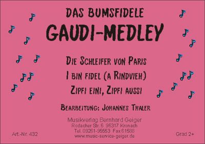 Das bumsfidele Gaudi Medley 