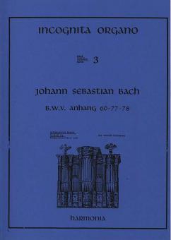 Incognita Organo 03 