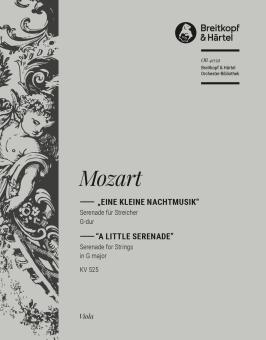 Eine kleine Nachtmusik 