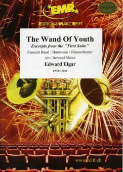 The Wand Of Youth Download