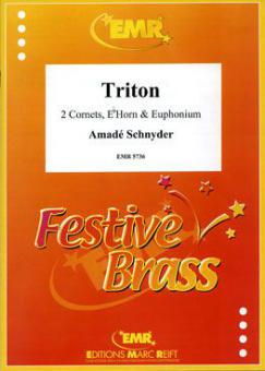 Triton Standard