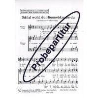 Schlaf wohl, du Himmelsknabe du a.c. 