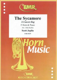 The Sycamore Standard