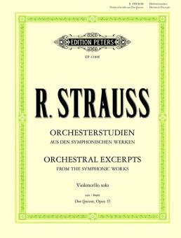 Don Quixote op. 35 