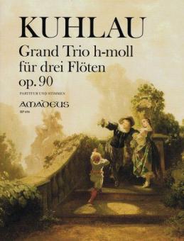 Grande trio in si minore op. 90 
