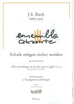 Schafe mögen sicher weiden Standard
