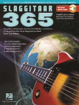 Slaggitaar 365 