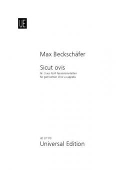 Sicut ovis 