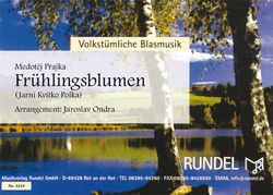 Frühlingsblumen 