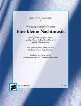 Eine kleine Nachtmusik 