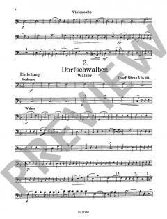 Strauß für die Jugend Band 3 