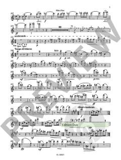 Nonett op. 30 