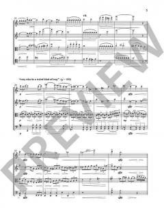 ReSolUtIo op. 74 von Lucio Franco Amanti 