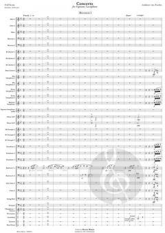 Concerto von Andreas van Zoelen (Download) 