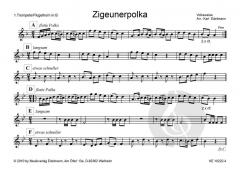 'aufg'spielt zum Volkstanz': Zigeunerpolka 