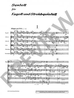 Sextett für Fagott und Streichquintett von Grete von Zieritz 