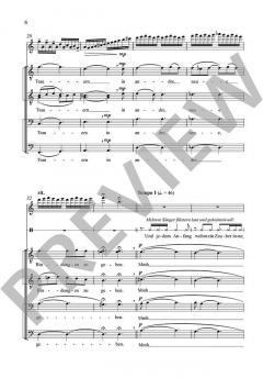 Stufen von Alwin Michael Schronen (Download) 