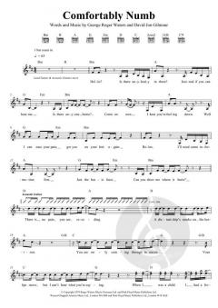 Comfortably Numb von David Gilmour 