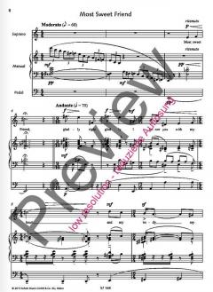 Our Lady's Minstrel von Naji Hakim (Download) 