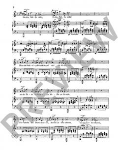 Zwei Ständchen D 957/4 / D 889 von Franz Schubert (Download) 