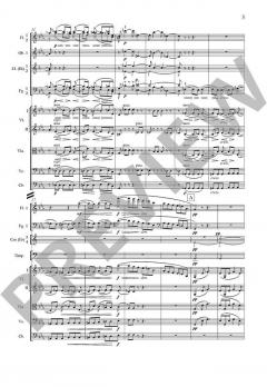 Sinfonie Nr. 1 c-Moll op. 68 von Johannes Brahms 
