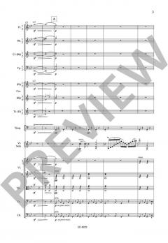Konzert Nr. 1 g-Moll op. 26 von Max Bruch 