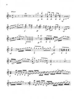 Konzert e-Moll op. 140 von Ferdinando Carulli (Download) 