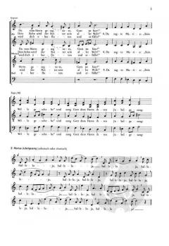 Die Weihnachtsgeschichte in Liedern von Felicitas Kukuck 