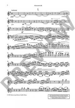 Vier ernste Gesänge von Johannes Brahms 