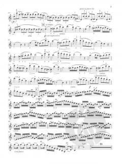 Concerto No. 1 a-Moll von Jean-Baptiste Accolay (Download) 
