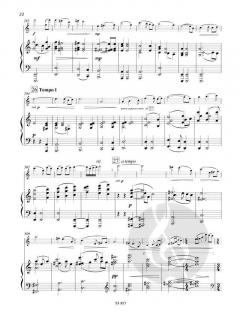 Vox amoris von Peteris Vasks (Download) 