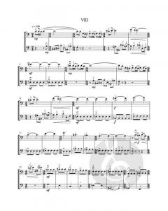 12 Duette für 2 Violoncelli von Jirí Pauer im Alle Noten Shop kaufen