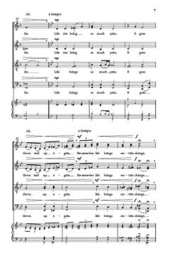 Safe in His Arms von Jason Max Ferdinand/Meka Ferdinand 