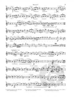 Hornkonzert Nr. 1 Es-dur op. 11 von Richard Strauss 