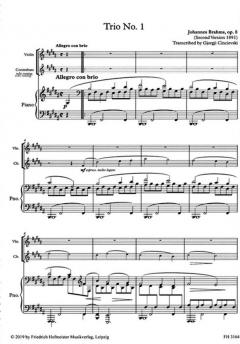 Trio No. 1, op. 8 von Johannes Brahms 
