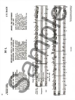 Oeuvres Completes pour Orgue Vol. 10/1 von Johann Sebastian Bach 