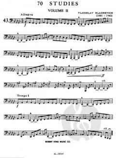 70 Studies Vol. 2 von Vladislav Blazhevich 
