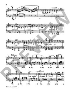 Der Wanderer op. 90/7 von Gustav Lange (Download) 
