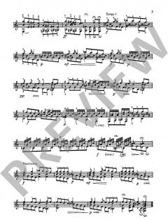 5 Etüden von Stepan Rak (Download) 