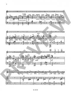 Konzert d-Moll von Hans Ahlgrimm (Download) 