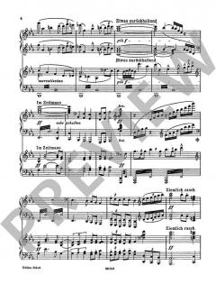 Siegfrieds Rheinfahrt von Richard Wagner 